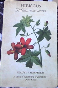 Botanical Inspirations Deck & Book Set